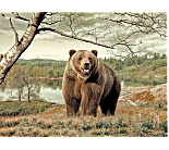 Коврик прошивной 1,5*2м 233/PA/81